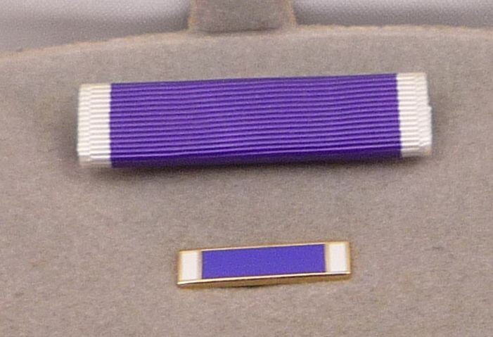 USA Purple Heart in Case