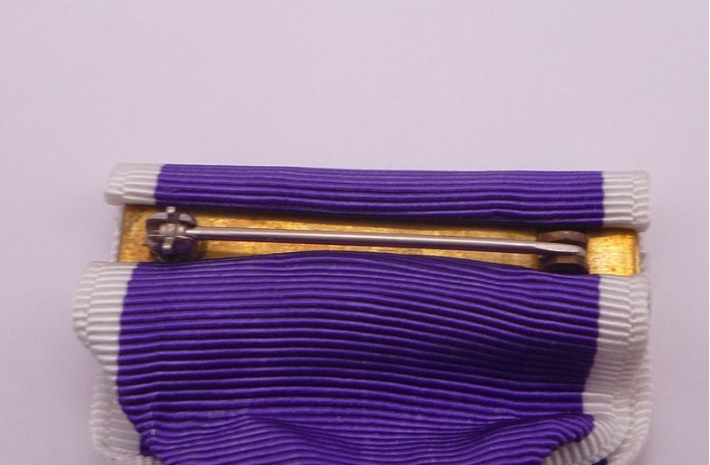 USA Purple Heart in Case